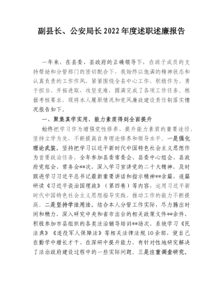 2022.10 公文副县长、公安局长20年度述职述廉报告.doc