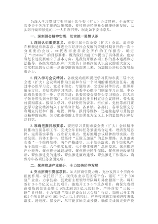 2022.10 公文关于贯彻落实市委三届十次全委扩大会议精神的安排意见.docx