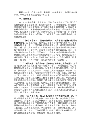 2022.10 公文关于市委巡视整改进展情况通报.docx