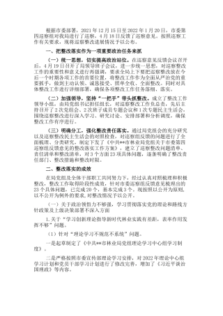 2022.10 公文关于巡察整改进展情况的通报.docx