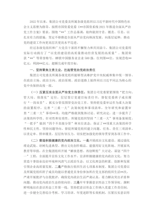 2022.10 公文国有企业关于2022履行全面从严治党主体责任情况的报告.docx