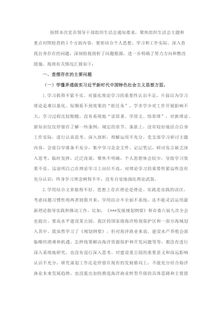 2022.10 公文海洋渔业领域党员干部组织生活会个人对照检查材料.docx