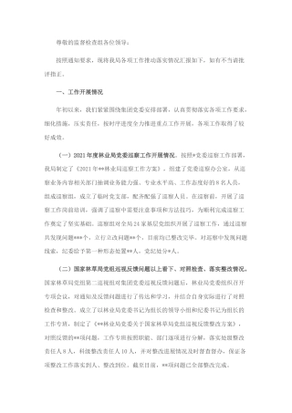 2022.10 公文局党委向跟进监督检查组汇报提纲.docx