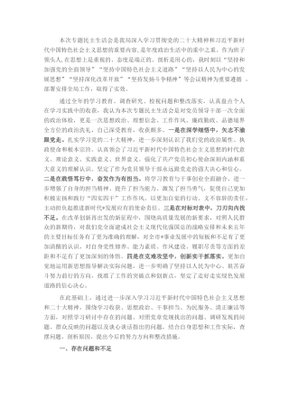 2022.10 公文局党组书记、局长民主生活会检视剖析材料.docx