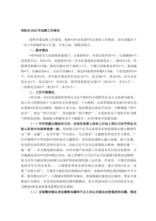 2022.10 公文局机关2022巡察工作报告.doc