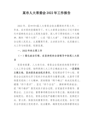 2022.10 公文某市人大常委会2022工作报告.doc
