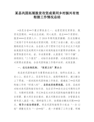 2022.10 公文某县巩固拓展脱贫攻坚成果同乡村振兴有效衔接工作情况总结.doc