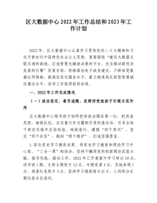 2022.10 公文区大数据中心2022工作总结和2023工作计划.doc