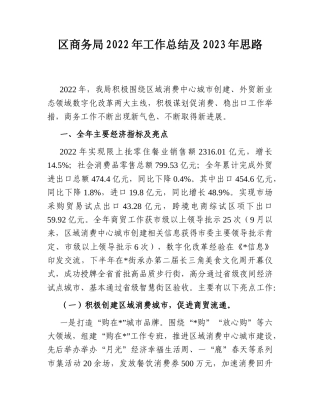 2022.10 公文区商务局2022工作总结及2023思路.doc