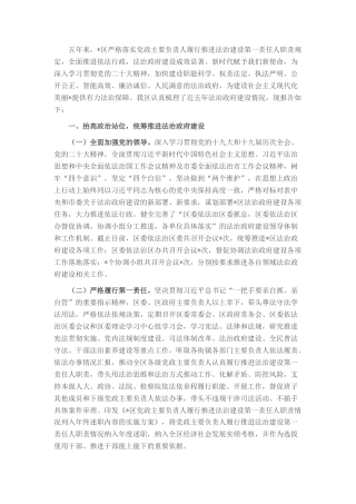 2022.10 公文区五年法治政府建设工作情况的报告.docx