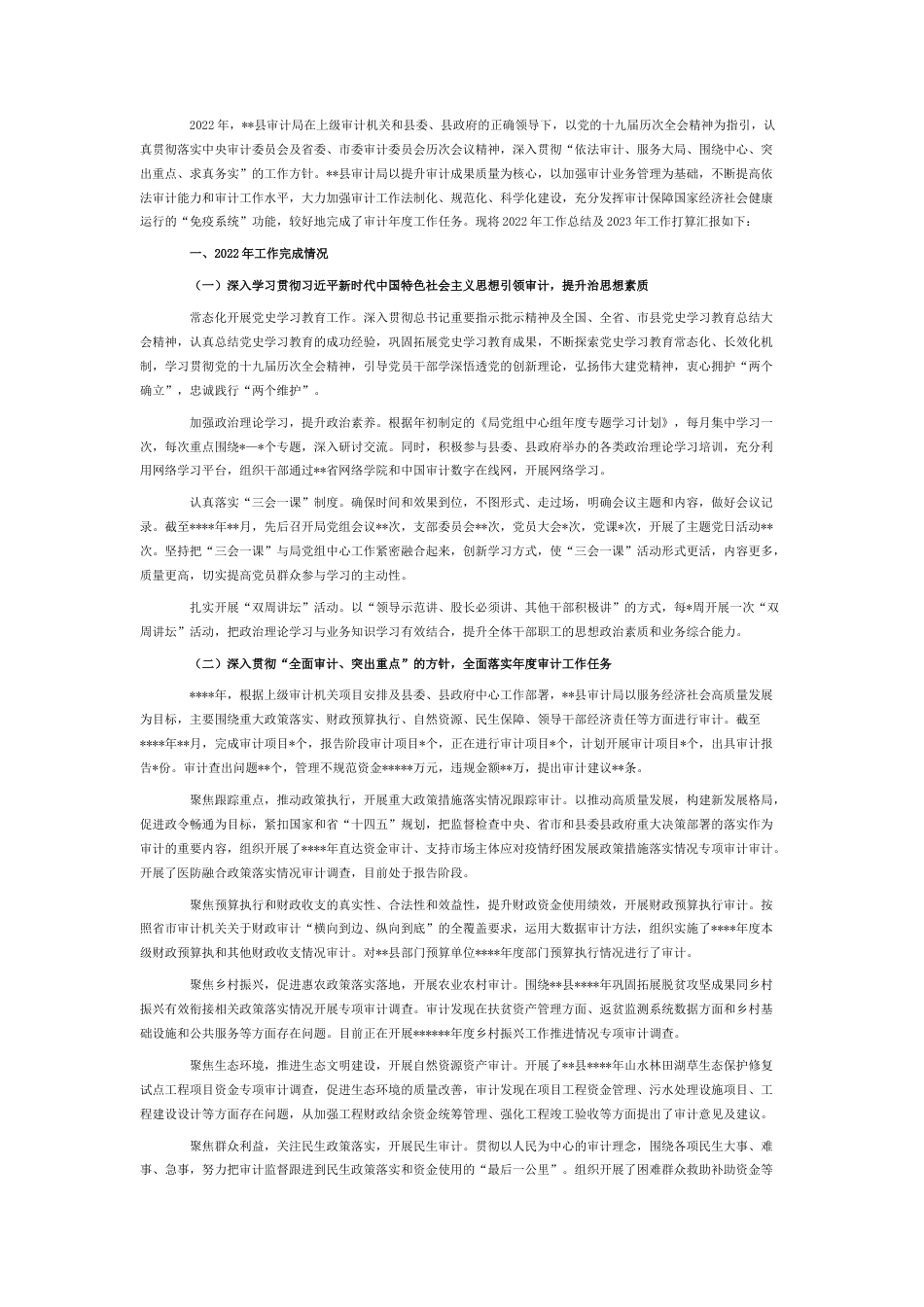 2022.10 公文审计局2022工作总结及2023工作打算.docx_第1页