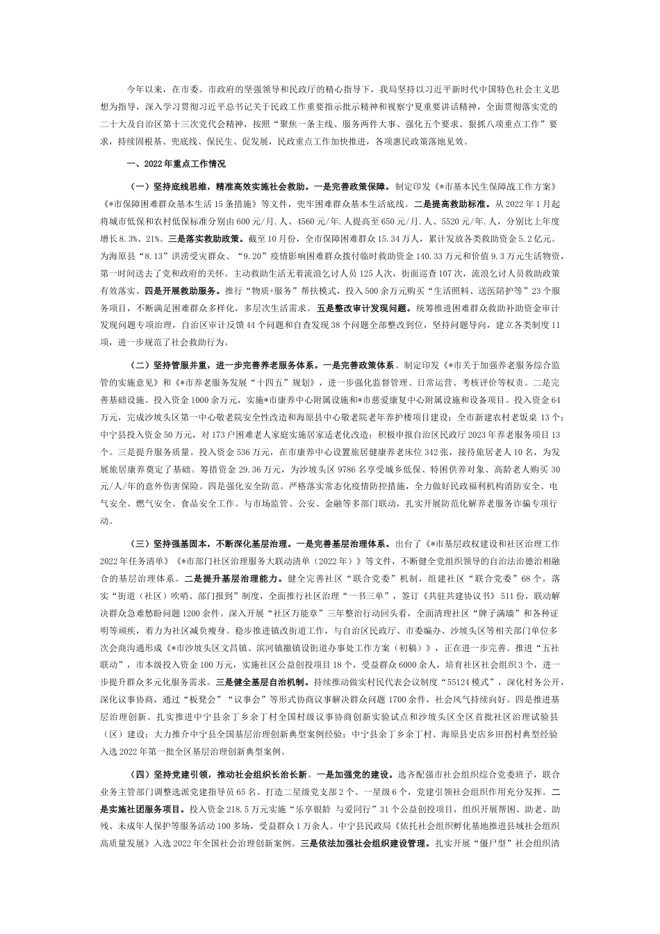 2022.10 公文市民政局2022工作总结暨2023工作思路.docx_第1页