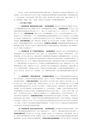 2022.10 公文市民政局2022工作总结暨2023工作思路.docx