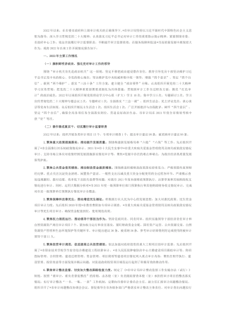 2022.10 公文市审计局2022以来工作总结和2023工作计划.docx