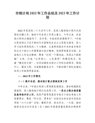 2022.10 公文市统计局2022工作总结及2023工作计划.doc