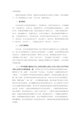 2022.10 公文市委20年度巡察工作汇报.docx