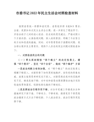 2022.10 公文市委书记2022民主生活会对照检查材料.doc
