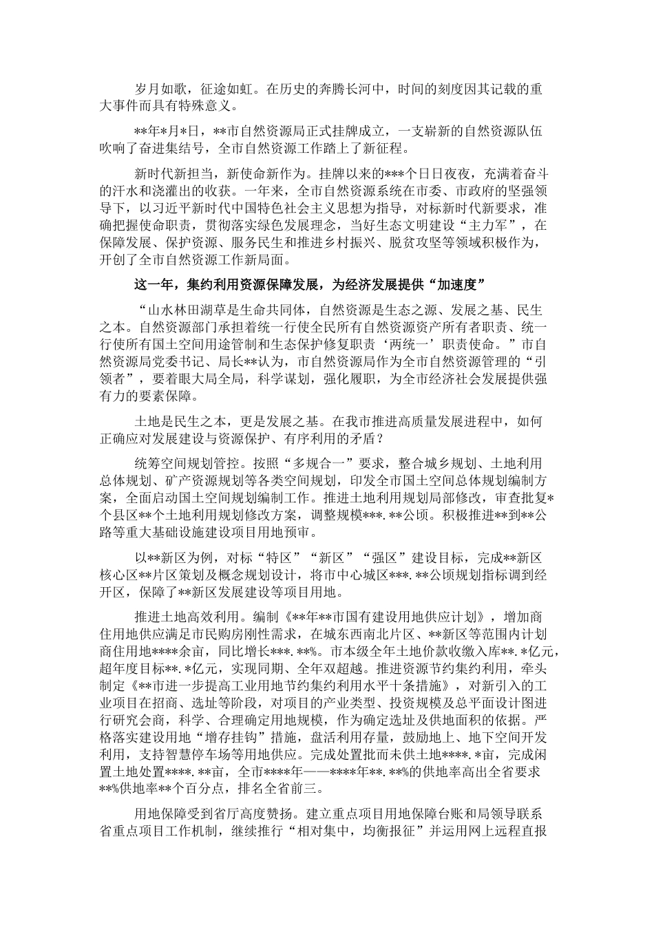 2022.10 公文市自然资源局成立一周年工作纪实.docx_第1页