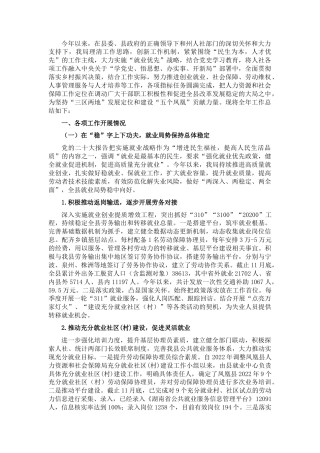 2022.10 公文县人力资源和社会保障局2022全年工作总结与2023工作计划.docx