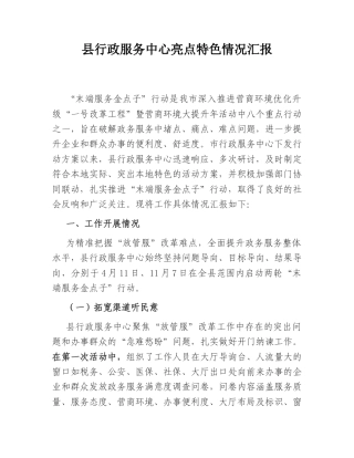 2022.10 公文县行政服务中心亮点特色情况汇报.doc