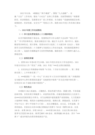 2022.10 公文乡镇20年度工作总结.docx