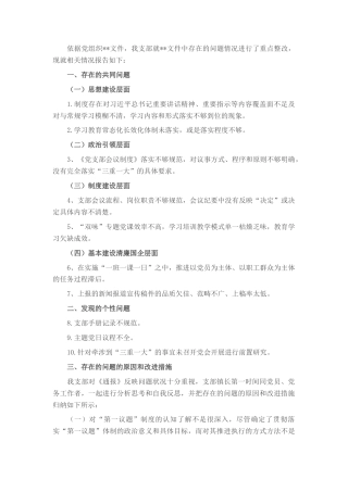 2022.10 公文支部党建工作目标责任检查整改情况报告.docx