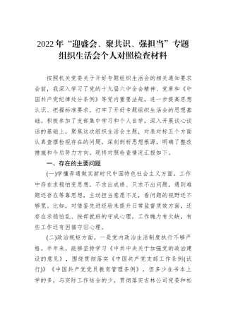 2023公文 2022“迎盛会、聚共识、强担当”专题组织生活会个人对照检查材料.docx