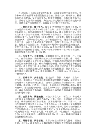 2023公文 2022乡疫情防控工作汇报.docx