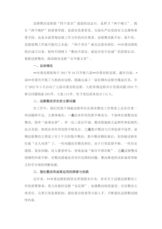 2023公文 关于做深做实巡察整改日常监督工作的调研报告.docx