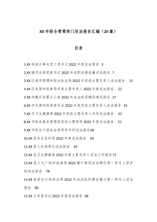 公文 （20篇）XX市综合管理部门述法报告汇编.docx