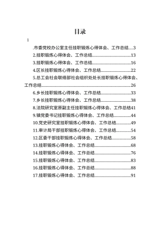 公文 20230404：挂职锻炼心得体会、工作总结-17篇.docx