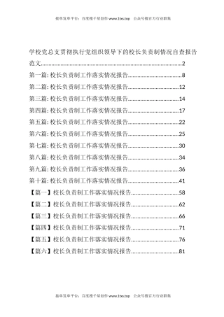 公文 文汇系列5714--校长负责制工作落实情况总结、报告汇编（19篇）.docx