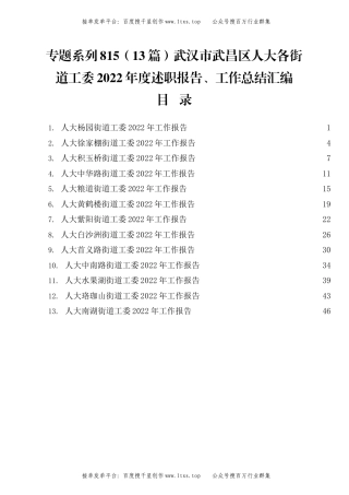 公文 专题系列815（13篇）武汉市武昌区人大各街道工委2022年度述职报告、工作总结汇编.docx