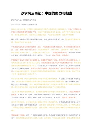 23年无图CP查重短篇34标红-沙伊风云再起中国的努力与担当-约2330字符.docx