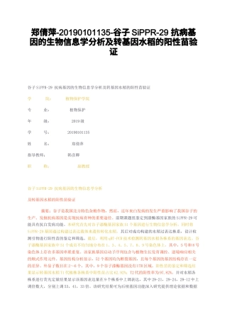 23年无图CP查重35标红--谷子SiPPR-29抗病基因的生物信息学分析及转基因水稻的阳性苗验-约19964字符.docx