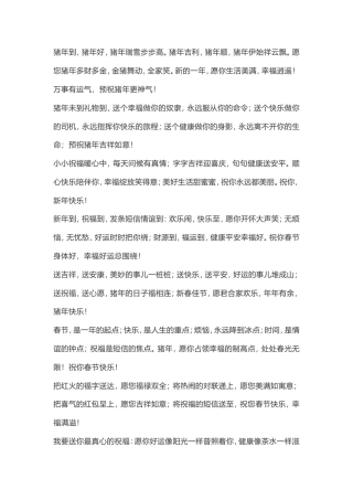 2019年猪年春节短信拜年祝福语.doc