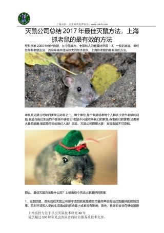 旧稿工作总结 灭鼠公司总结2017年最佳灭鼠方法-上海抓老鼠的最有效的方法-约1288字符.docx
