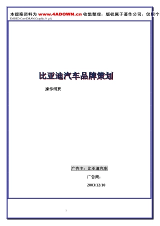 比亚迪汽车品牌策划操作纲要-约1894字符.doc