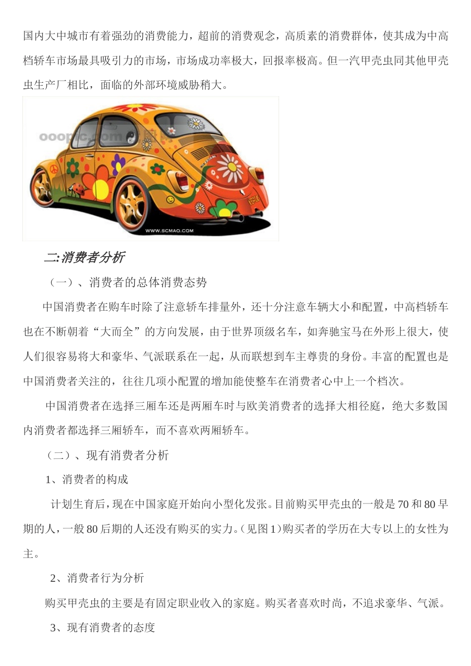 大众汽车甲壳虫广告策划书-约6027字符.doc_第5页