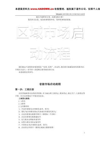 朵采内衣市场启动流程-约11998字符.doc