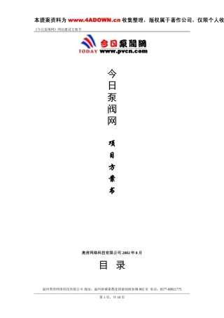 今日泵阀网项目方案书-约6157字符.doc