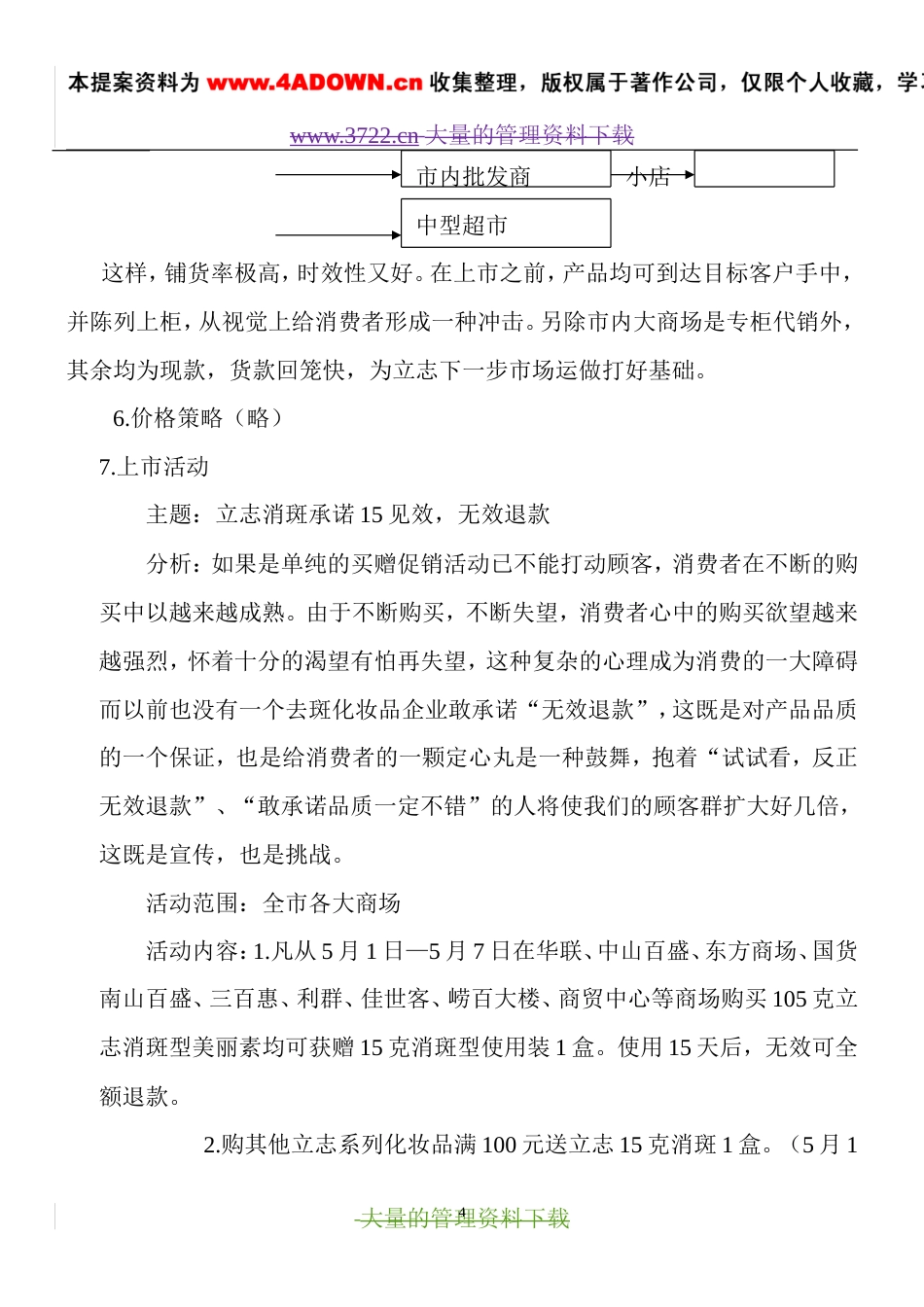 立志美丽素系列化妆品上市方案-约3136字符.doc_第4页