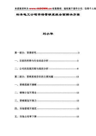 松本电工市场营销系统全面解决方案-约12267字符.doc