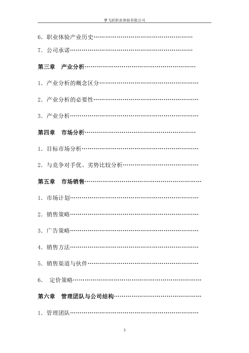 旧稿各行创业书 梦飞跃创业团队创业计划书-约22120字符.doc_第3页