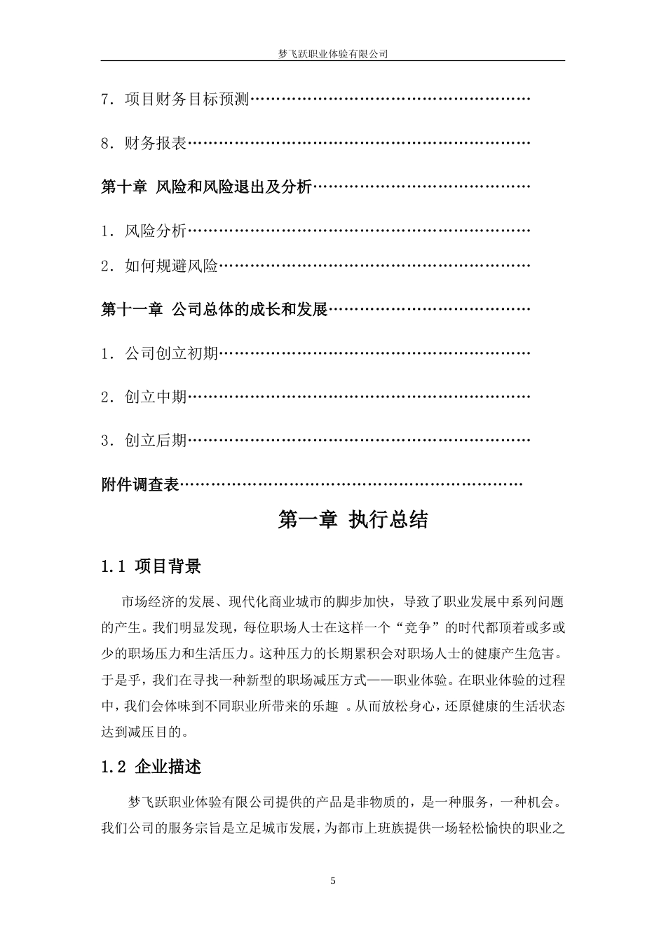 旧稿各行创业书 梦飞跃创业团队创业计划书-约22120字符.doc_第5页