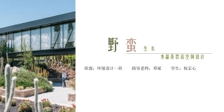 24年WP交稿环境设计 野蛋生长水晶茶饮店空间设计三稿（终-约5369字符.pdf