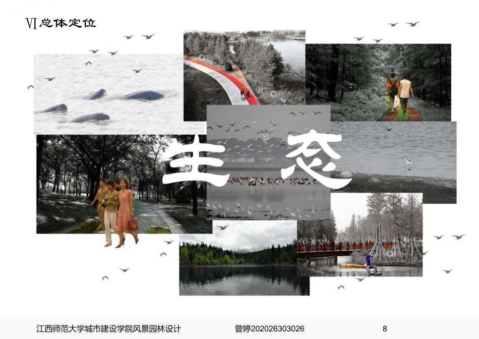 24年WP本科风景园林-旧林蝶变，涉野成趣-_—基于生态修复视角的城郊滨水态公园规划设计（规划方案)-约13501字符.pdf_第10页