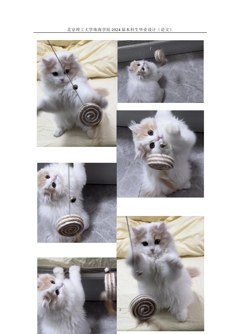 23年查重低产品设计 基于人宠情感交互的宠物用品设计定稿-约13452字符.docx_第8页