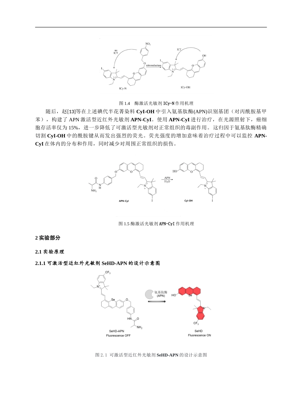 24年WP本科化学 氨基肽酶（APN）激活型近红外光敏剂的设计合成定稿.doc_第5页