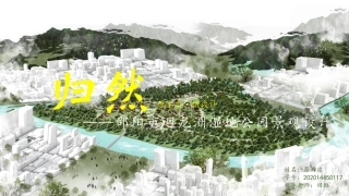 24年WP交稿环境设计 迴龙州景观设计终稿（设计说明+ppt）-约5253字符.pdf